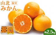 山北温室みかん2.5kg 果物 柑橘類 蜜柑 糖度高め フルーツ ku-0030