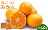山北温室みかん1.2kg 6月発送 甘い - 温州みかん 1.2kg 果物 柑橘 ミカン 蜜柑 フルーツ ku-0021