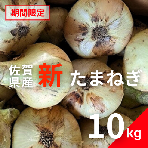 【期間限定】佐賀県産 新たまねぎ（10kg）：A095-054 42456 - 佐賀県佐賀市