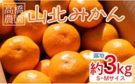 高橋農園 山北みかん3kg(露地・Ｓ～Ｍ)ギフト用 - 果物 フルーツ ミカン 蜜柑 柑橘 th-0006