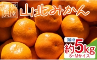 高橋農園 山北みかん5kg(露地・Ｓ～Ｍ)ギフト用 - 果物 フルーツ 柑橘 みかん th-0008