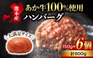 【熊本名物】健康あか牛 ハンバーグステーキ 150g×6個