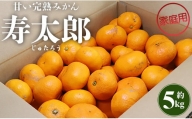 間城農園 甘い完熟みかん 寿太郎 (家庭用) 5kg - フルーツ 家庭用 訳あり 果物 柑橘 みかん ms-0043
