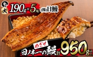 日ノ本一の鰻の蒲焼き＜大＞5尾セット(計950g以上) d2-004