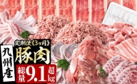 【定期便・全3回】九州産豚肉定期便＜3ヵ月連続・毎回2kg以上・合計9.1kg以上＞ t0041-001