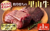 牧草育ちの里山牛 ローストビーフ用ブロック肉 計1kg c5-013