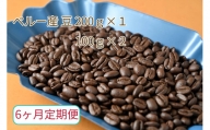 【6ヶ月定期便】カフェ・フランドル厳選　コーヒー豆　ペルー産(200g×1　100g×2)
