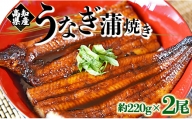 フジ物産 国産養殖うなぎ蒲焼き 約220g×2尾(高知県産鰻) fb-0012