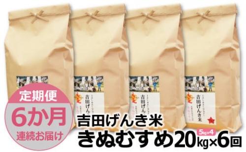 【定期便6か月連続お届け】「吉田げんき米」きぬむすめ20kg（5kg×4）
