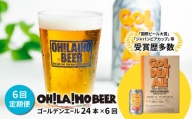 【6回定期便】ゴールデンエール24本定期便 クラフトビール