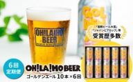 【6回定期便】ゴールデンエール10本定期便 クラフトビール