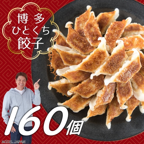 AA157.福岡・博多の味『博多一口餃子』１６０個入（４０個入×４Ｐ）