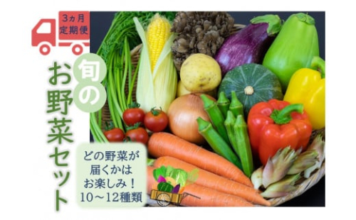 【３ヵ月定期便】高原の町「飯南町」旬のお野菜セット（２０セット限定）【 新鮮野菜 高原野菜 旬 特産品 お取り寄せ 少量多品種 少量多品目】C-121