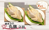 種子島　夢まるの丸鶏（２羽）　720pt　NFN450