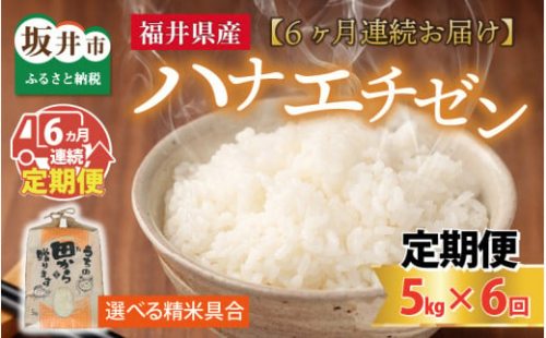 【先行予約】【令和6年産・新米】定期便 ≪6ヶ月連続お届け≫ 【選べる精米具合】 ハナエチゼン5kg×6回 計30kg ～本原農園からまごころコメて～（玄米）【2024年9月上旬以降発送予定】 [C-8902_02]