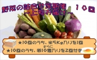 【J0-033】米5kgと卵20個付き！野菜の詰め合わせ定期便10回(上旬)【定期便】