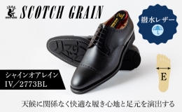 創業以来50年もの長きに渡って、主に紳士靴の生産をしているスコッチグレイン。 国産撥水カーフの質感と丈夫で修理も可能なグッドイヤー製法で作り上げた、晴れ雨兼用の撥水レザーを使用した合成ゴム底モデルです