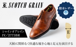 創業以来50年もの長きに渡って、主に紳士靴の生産をしているスコッチグレイン。 国産撥水カーフの質感と丈夫で修理も可能なグッドイヤー製法で作り上げた晴れ雨兼用の撥水レザーを使用した、合成ゴムモデルです。