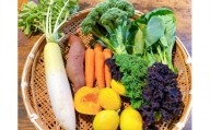 【ふるさと納税】白米(1kg)と季節の野菜セット