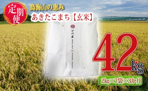 《定期便》14kg×3ヶ月 秋田県産 あきたこまち 玄米 2kg×7袋 神宿る里の米「ひの米」（お米 小分け）