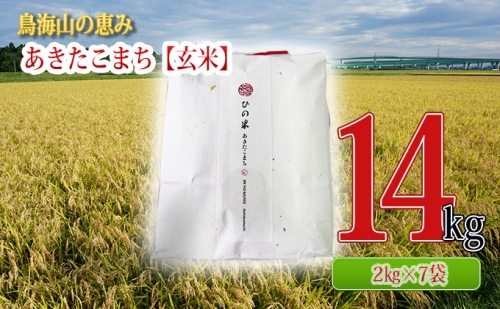 秋田県産 あきたこまち 玄米 14kg（2kg×7袋）神宿る里の米「ひの米」（お米 小分け） 429319 - 秋田県にかほ市