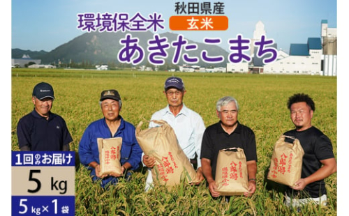 【玄米】令和6年産 秋田県産 あきたこまち 環境保全米 5kg (5kg×1袋) 