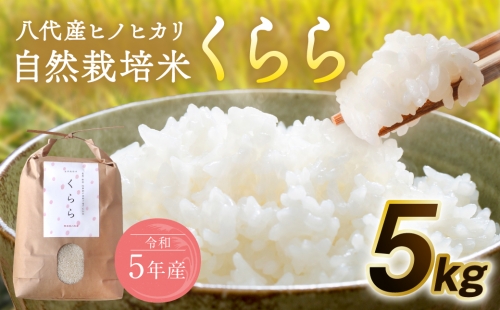 令和5年産米 自然栽培米 くらら 精米 5kg 米 429777 - 熊本県八代市