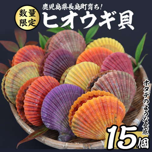 長島特産ヒオウギ貝　15個入り 【口ノ福浦ヒオウギ貝グループ】 kuchi-860 429793 - 鹿児島県長島町