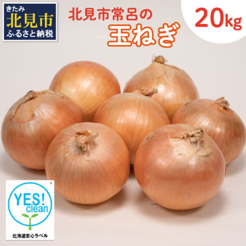 北海道安心ラベル「Yes!clean」認証！北見市常呂の玉ねぎ 20kg ( たまねぎ 野菜 期間限定 )【009-0001-2024】
 429843 - 北海道北見市