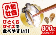 レンジでチンするだけ簡単！江田島の小粒牡蠣『がきんちょ』4パックセット