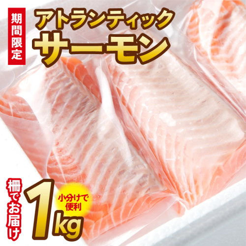 アトランティックサーモン 1kg ポーション 柵 小分け 015B537 429996 - 大阪府泉佐野市