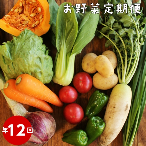 【年12回】高知から直送!旬の季節のお野菜定期便(7~10品)