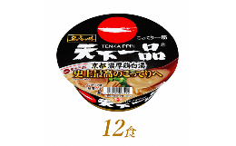 【ふるさと納税】R4-48 サンヨー食品 名店の味 天下一品 京都濃厚鶏白湯×１２食＊