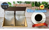 【3ヶ月定期便】ブルーマウンテンNo.1 ドリップバッグ(10g×8袋)