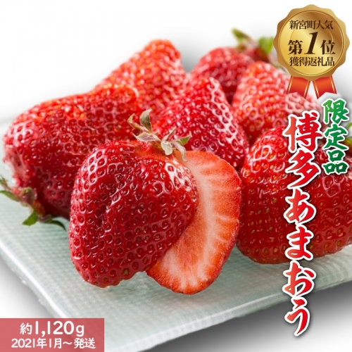 人気No.1獲得謝礼品★限定品★あまおう約1,120g(先行受付/2020年1月以降発送)