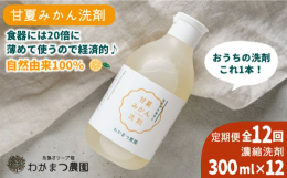 ※こちらは全12回お届けの商品です。食器はもちろん洗濯やお掃除、野菜・果物も洗える万能洗剤です。 自然由来ですが泡立ちと洗浄力に期待でき、生分解性され地球にも優しいです。 手あれや肌の弱い方、赤ちゃん