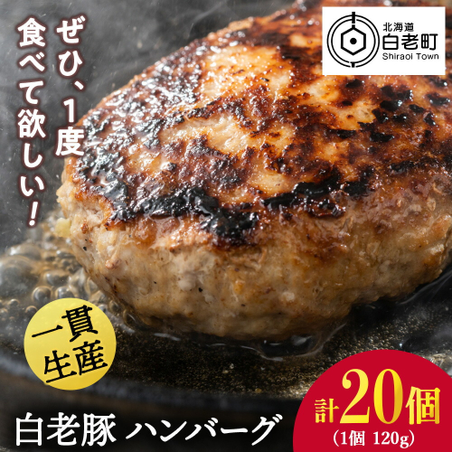 北海道産 白老豚 ハンバーグ 120ｇ×20個セット 431192 - 北海道白老町