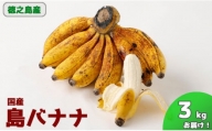 [鹿児島県天城町]徳之島子宝バナナ 3kg 島バナナ バナナ AL-10-N