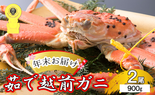 茹で越前ガニ【年末お届け】食通もうなる本場の味をぜひ、ご堪能ください。約900g 2尾セット 越前がに 越前かに 越前カニ カニ ボイルガニ 431588 - 福井県若狭町