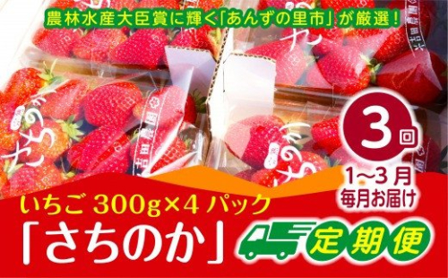 【2026年1～3月発送】【3ヶ月定期便】「さちのか」いちご　約300g×4Pを3回お届け[G7007] 431859 - 福岡県福津市