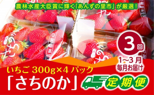 【2025年1～3月発送】【3ヶ月定期便】「さちのか」いちご　約300g×4Pを3回お届け[F7007]