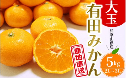 【先行予約】＼ みかんの名産地 和歌山県産／ 農家直送 大玉 有田みかん 5kg （2L～3L） ひとつひとつ手選別で厳選【2024年11月下旬～1月中旬ごろに順次発送予定】 432097 - 和歌山県北山村