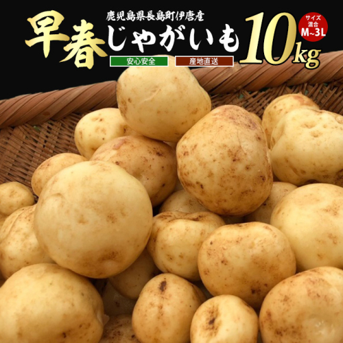【先行予約】＜数量・期間限定＞ホックホク甘さがある伊唐産早春じゃがいも(約10kg)【旬感foods】horino-7076 432104 - 鹿児島県長島町