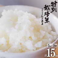 米 特別栽培米 にこまる 5kg×3袋 計15kg [サンクスラボ 長崎県 雲仙市 item1336] 精米 お米 白米 ごはん 美味しい 15キロ