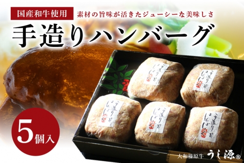 (冷凍)肉料理うし源 手造りハンバーグ5個入 43255 - 奈良県宇陀市