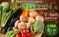 【定期便 6ヶ月コース】野菜のプロ40年が届けるこだわり野菜セット！ 7～8品目 詰め合わせ