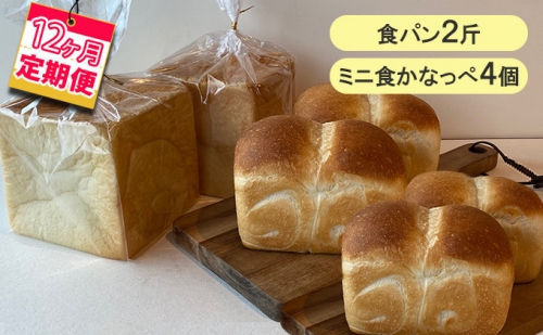 【12ヵ月定期便】食パン2斤、ミニ食かなっぺ4個 432728 - 北海道木古内町