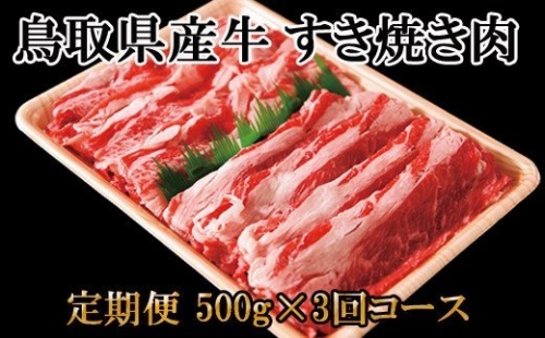 TT05：【定期便】鳥取県産牛すき焼き肉500g（3回コース） 432751 - 鳥取県日吉津村