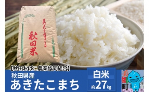 秋田県産 あきたこまち【白米】27kg 令和4年産