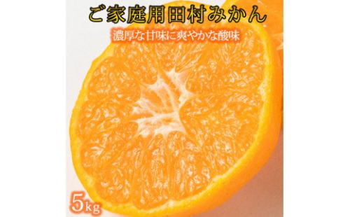 【ご家庭用訳あり】田村みかん　5kg　※2024年11月下旬頃～2025年1月下旬頃に順次発送　【uot754】 433180 - 和歌山県北山村